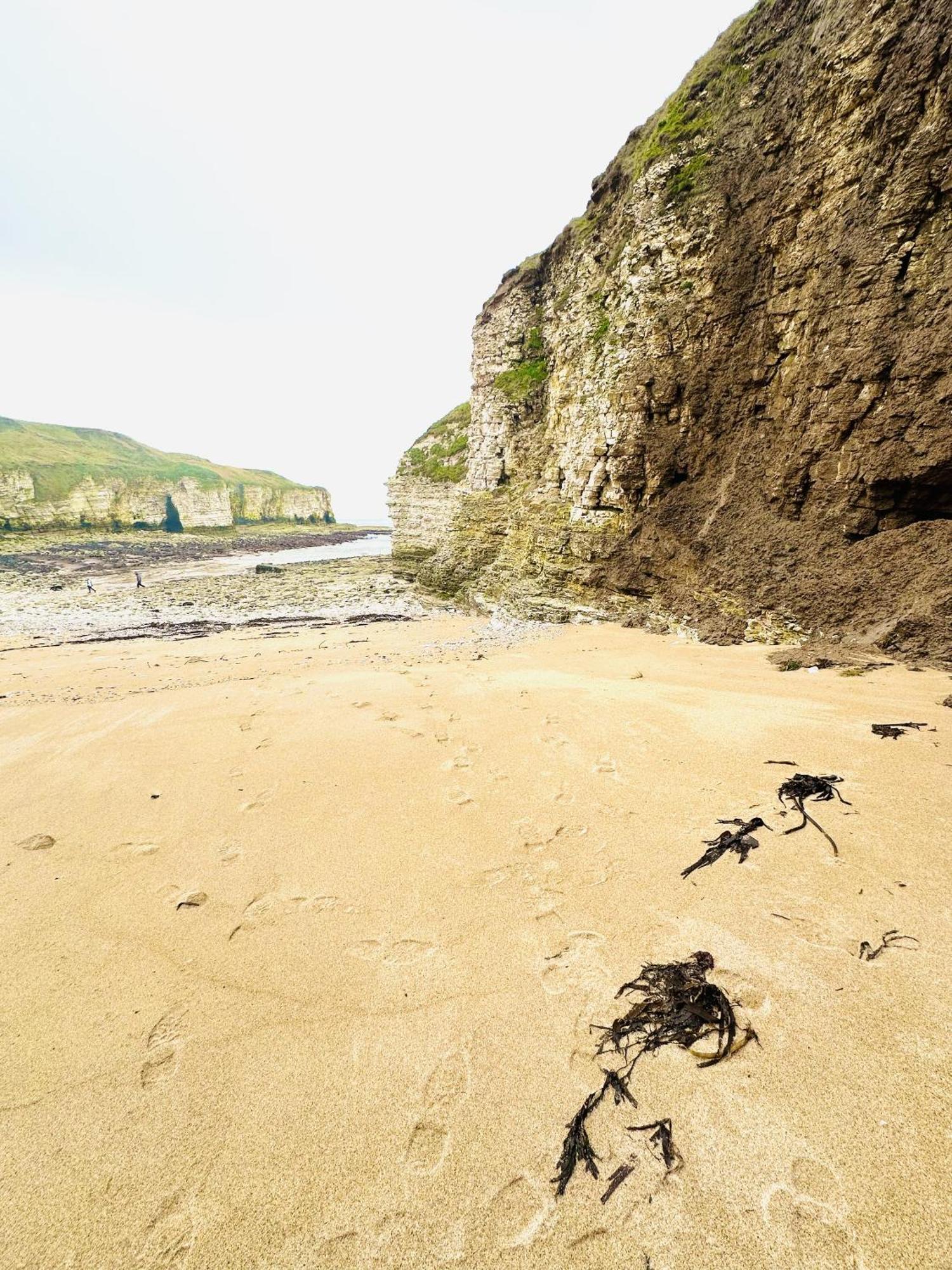 Ferienhaus Dunlin Retreat Flamborough